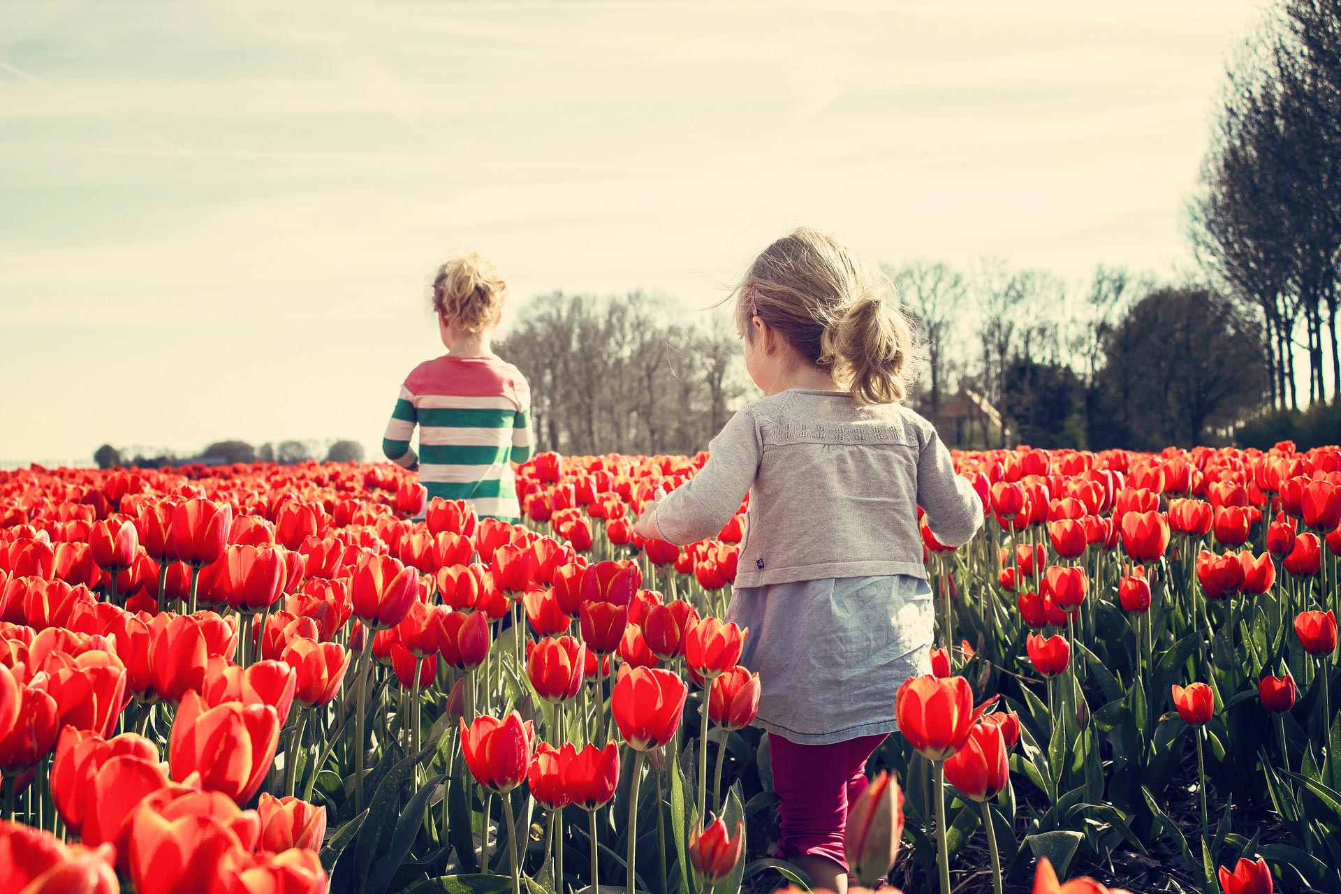 Flowers are Love’s Truest Language ClubGo